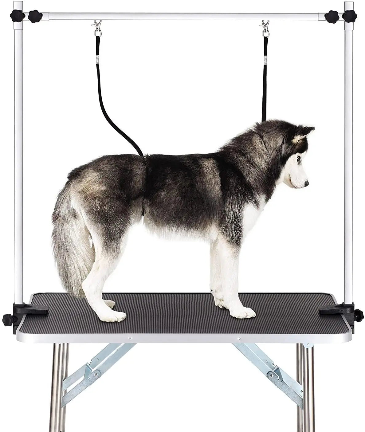 Professional Pet Grooming Adjustable Table