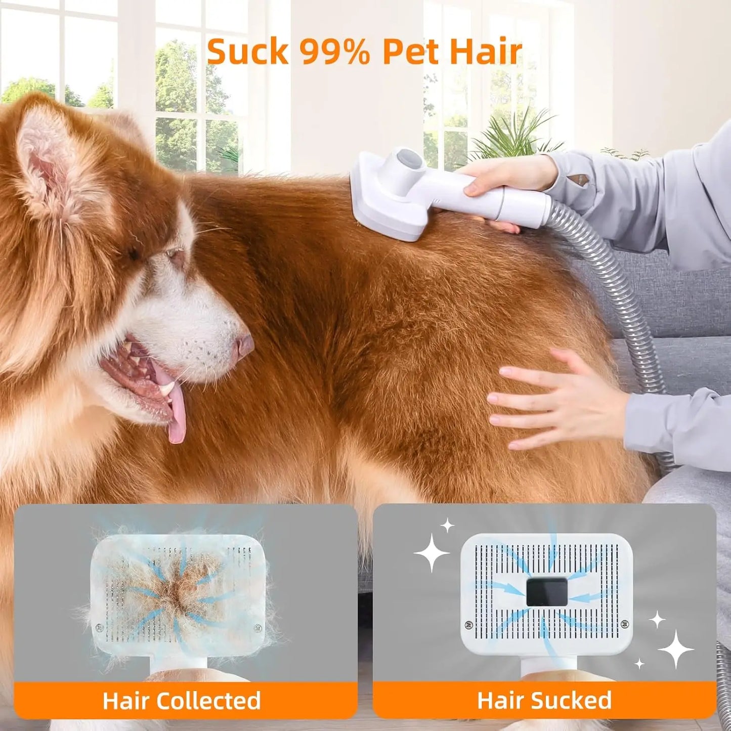 Pet Grooming Kit With 6 Grooming Tools